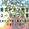 東京ドイツ村のイルミネーションの楽しみ方は？所要時間や乗り物など徹底解説！